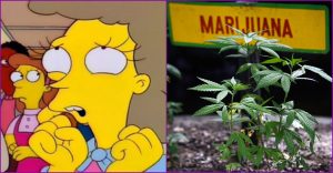 Jamaica se está quedando sin marihuana