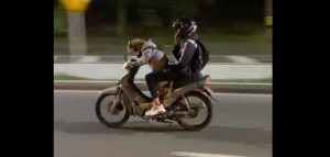 perro manejando moto