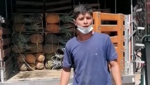 Joven campesino que se volvió viral podrá vender su piña