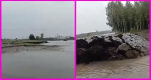 fenomeno en la india