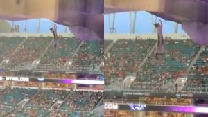 Gato es salvado de morir en un estadio de Estados Unidos