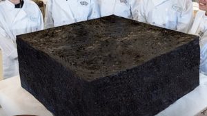 Happy Brownie más grande del mundo