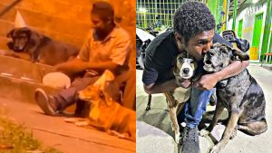 Habitante de la calle celebra cumpleaños sus perros