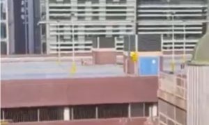 Pareja teniendo sexo edificio