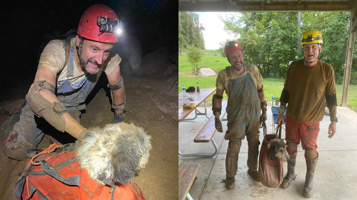 Rescatan a un perro de una cueva; llevaba dos meses desaparecido