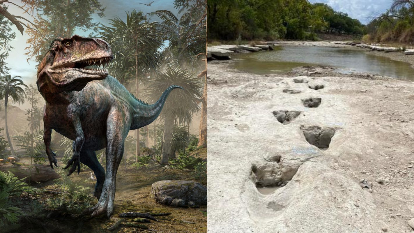 Sequía deja al descubierto huellas de dinosaurios