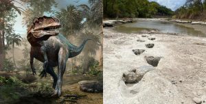 Sequía deja al descubierto huellas de dinosaurios