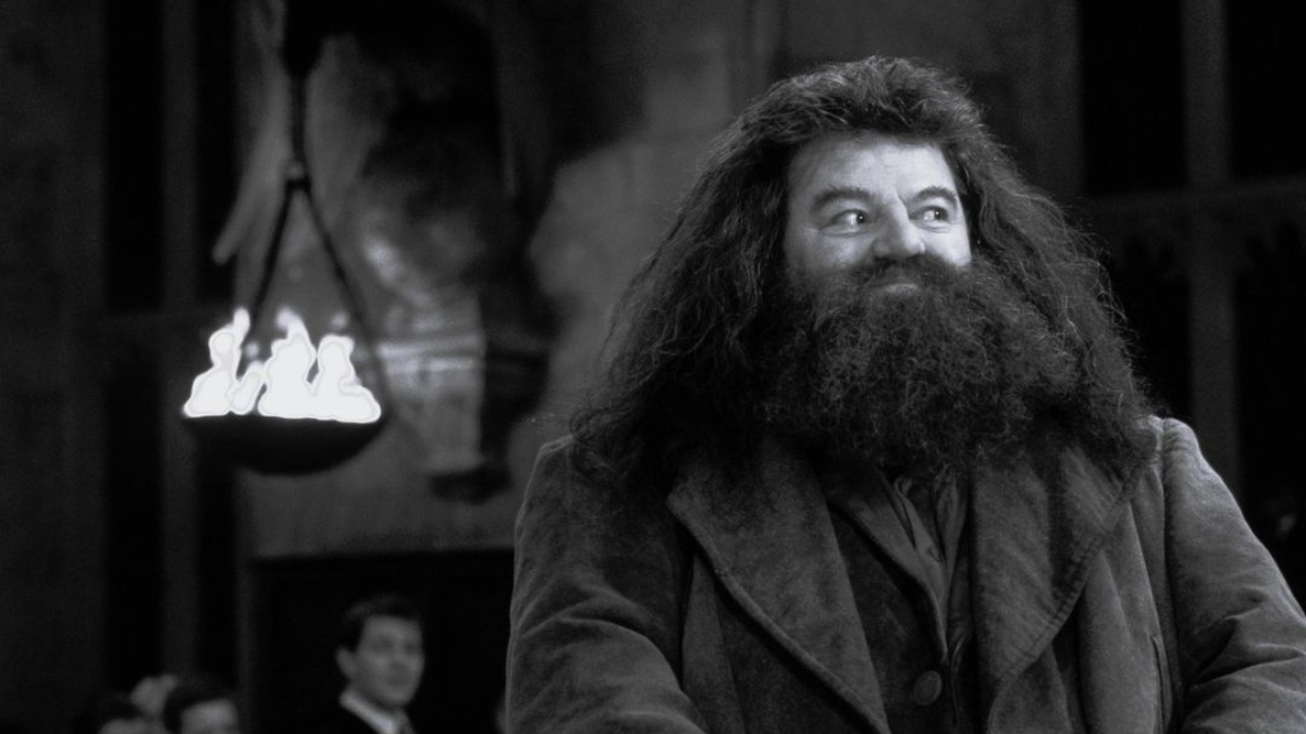 Revelan la verdadera razón por la que murió Robbie, Hagrid en Harry Potter