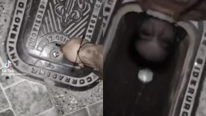 Sujeto fue a revisar el registro del agua y se encontró aterrador espanto