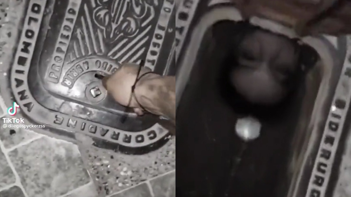 Sujeto fue a revisar el registro del agua y se encontró aterrador espanto