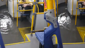 291122 - sitp - captura de pantalla