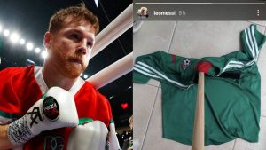 Canelo Álvarez meme