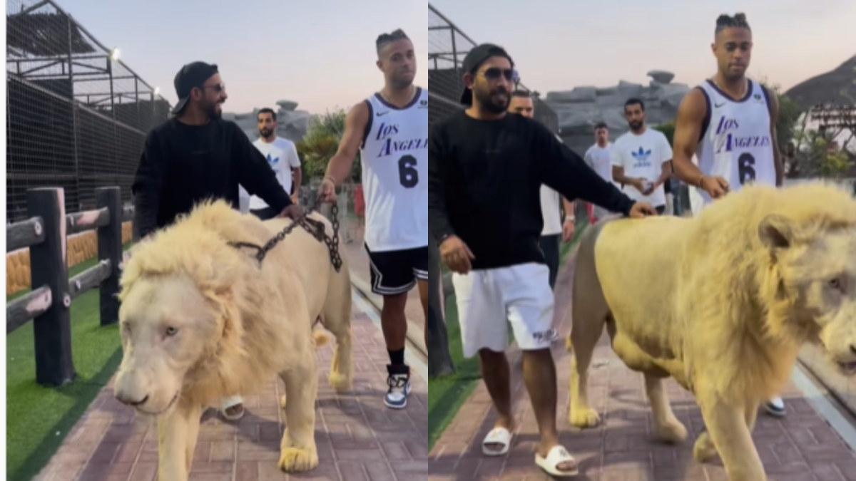 Jugador fue visto parchando mientras paseaba un león en Dubái
