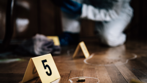 14122022Maximiliano Tabares Cano