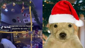 Conductor de SITP decoró el bus con adornos navideños porque ya va rumbo a Belén