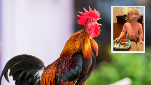 240123 - viral - GettyImages