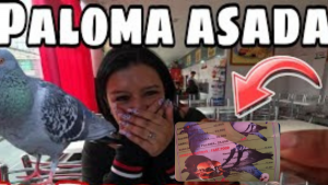 270123 - paloma asada - redes