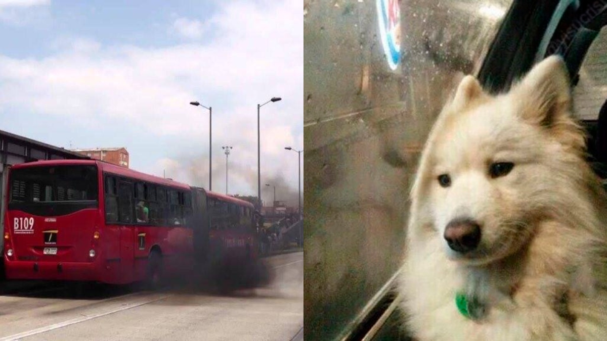 Los mejores memes que ha dejado el día sin carro y sin moto en Bogotá