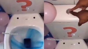 Qué creatividad: particular forma de revelar el sexo de bebé se robó la atención en redes