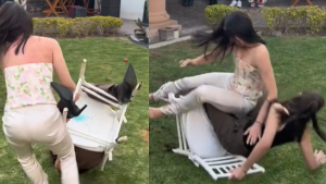 090223 - viral silla - redes