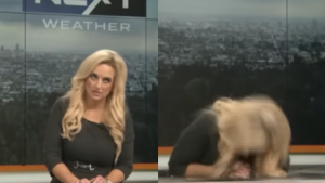 220323 - viral - redes (1)