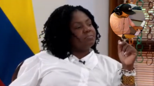 300323 - canción helicóptero - redes