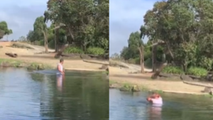 280423 - Rinocerontes - Twitter