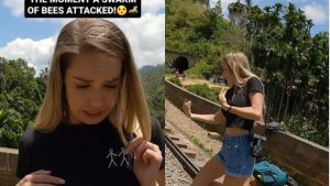 “Qué impresión”: turistas fueron atacados por enjambre de abejas