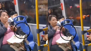 020523 - Paloma - TikTok