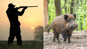 Salieron a cazar y asesinaron a su amigo porque pensaron que era un jabalí