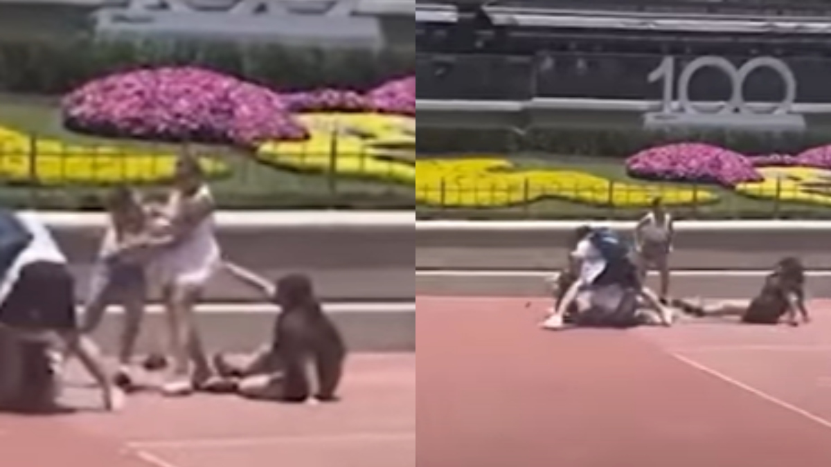 Por una foto, familia se fue a los puños en parques de Disney