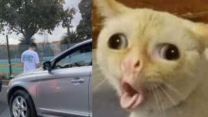 180523 - orinar en la calle - twitter