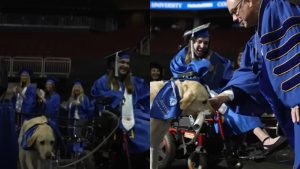 Premiaron a perro guía que acompañó a su dueña en la universidad
