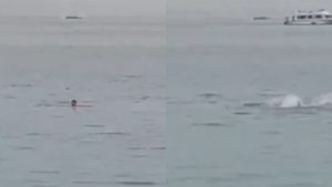 Aterrador video muestra el momento en que tiburón se demora a turista