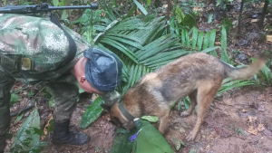 090623 - niños Guaviare- redes