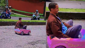 170623 -carro de juguete - redes