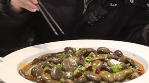 270623 - piedras - redes