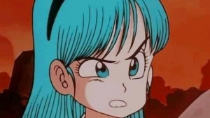 280623 -Bulma - redes