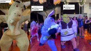 Novios hicieron boda temática de Shrek y burro se robó el show tirándose los prohibidos