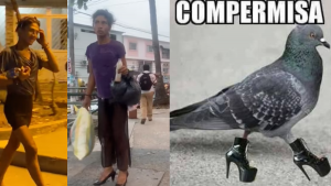 061023 - habitante de calle - redes