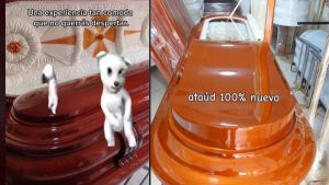 Créditos: Captura de video de Tiktok @el.ultimo_adios