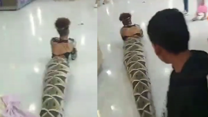 011123 - serpiente - redes