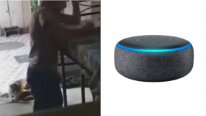 Crédito: @elvallemexico