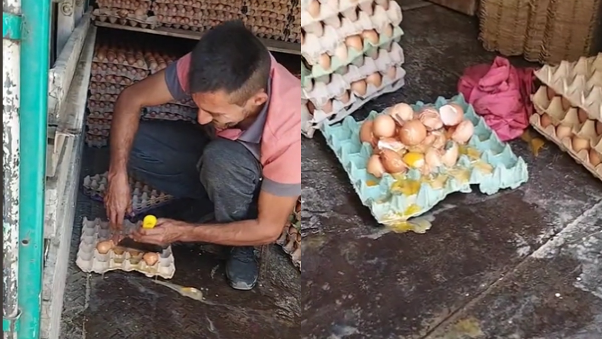 “Mi primera chamba”: hombre que transportaba huevos terminó con tortilla en el camión