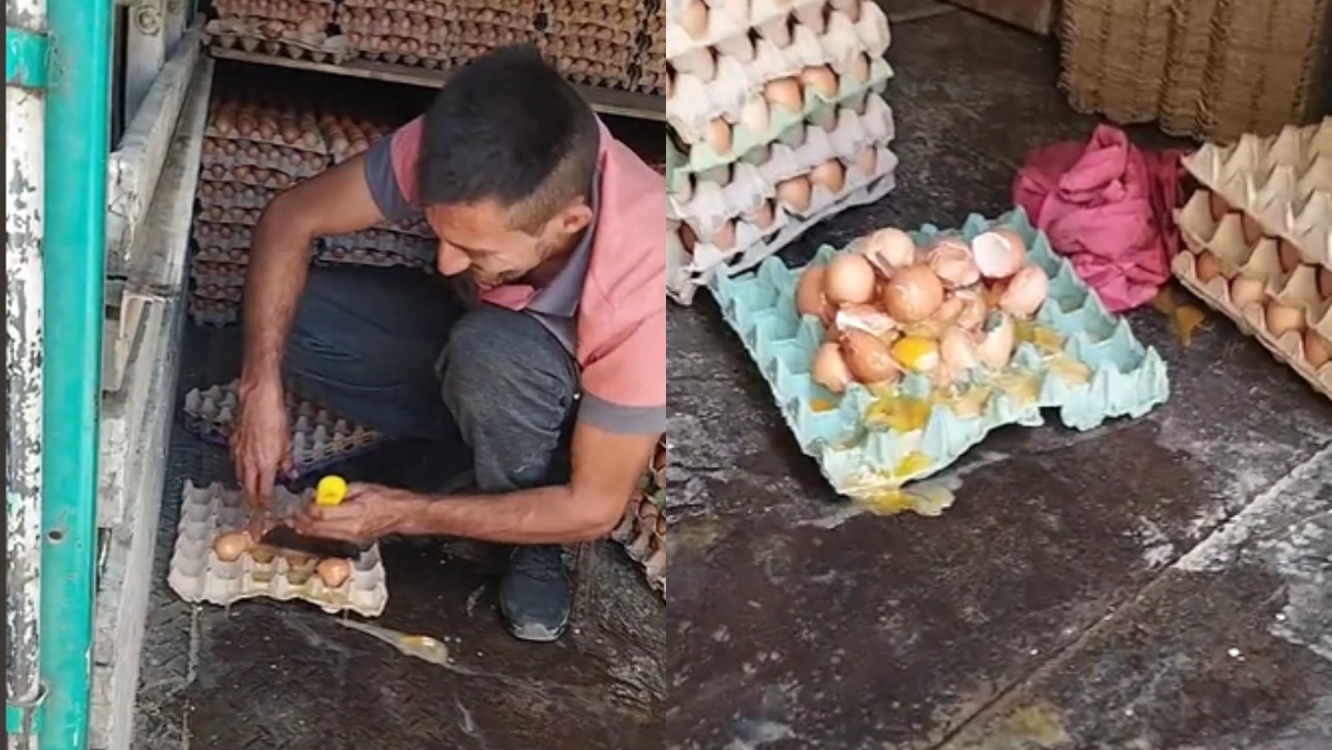 “Mi primera chamba”: hombre que transportaba huevos terminó con tortilla en el camión