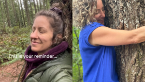 281223 - relacion arbol - redes