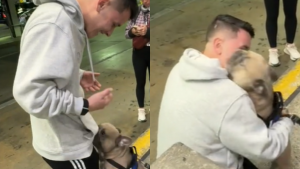 270124 - reencuentro perro y amo -redes