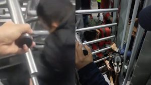 Perrita quedó atrapada en torniquete de TransMilenio: así lograron rescatarla