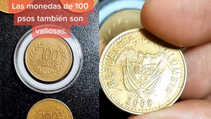 200224 - moneda de 100 - redes