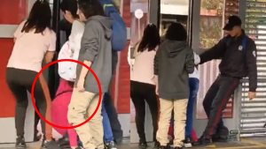 250224 - mujer se colo TransMilenio - redes